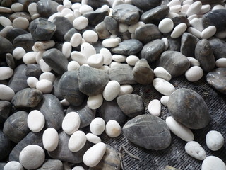 Various size of pebble stones Texture Background