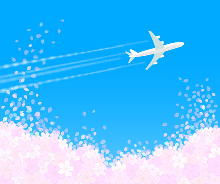 桜吹雪と飛行機1