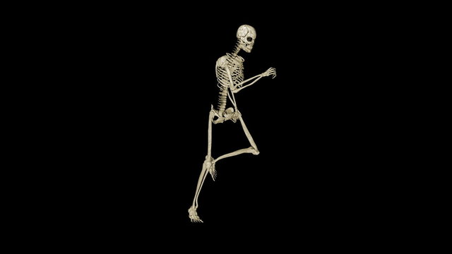 Skeleton running morphing into Human, loop, black