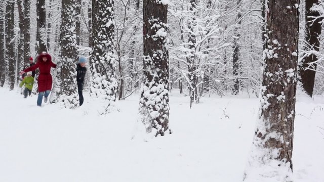 Family Snake Run Among Trees On Park Alley At Winter Day