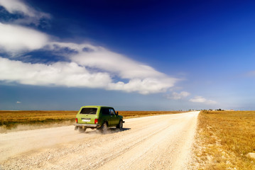 Naklejka premium Road with car