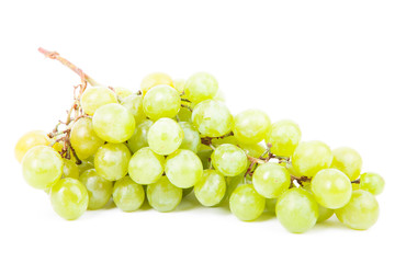 vine isolated on a white background