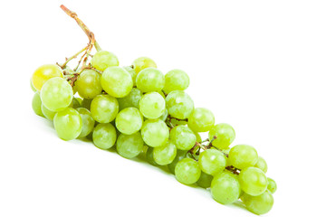 vine isolated on a white background