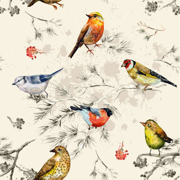 Fototapeta sztuka tekstura małych ptaków. Malarstwo akwarelowe