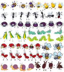 Insects © GraphicsRF