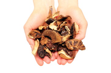 Heap of dried mushrooms in hand. White background