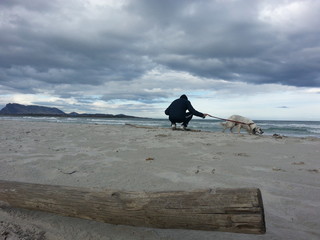Dog on the beach, Italy