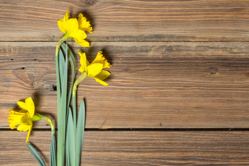 Daffodils on a wooden table