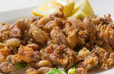 Deep fried baby octopus, or italian 