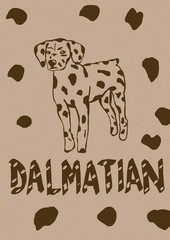 Dalmatian vintage