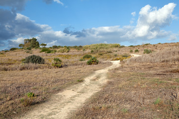 Path through sicilian countryside
