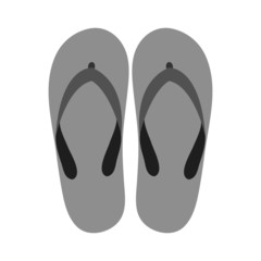 Vector Slippers