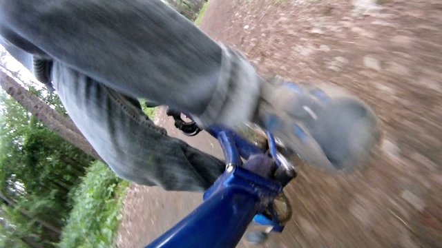 Boy goes on bicycle in forest on pathway in afternoon