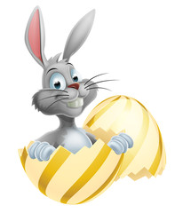 White Easter Bunny in Egg