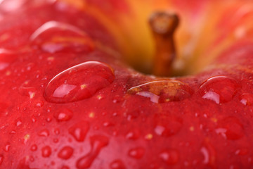 Red apple on dark background. Macro water drops