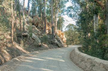 Top of the historic Montagu Pass