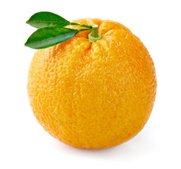 Ripe orange