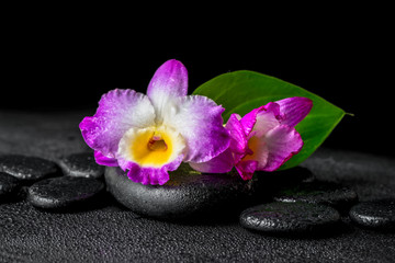 closeup of spa background with purple orchid dendrobium and gree