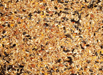 Vogelfutter, Körner, Hintergrund