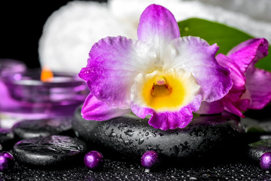 spa background of orchid dendrobium, green leaf Calla lily, purp