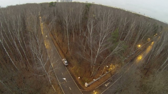 Car stands at roadside near t-shaped crossroad in park