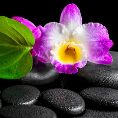 Obraz na płótnie Canvas spa background of closeup orchid flower dendrobium and green lea