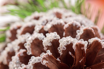 Fir cone