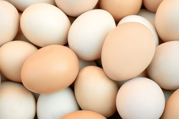 Pile of chicken eggs