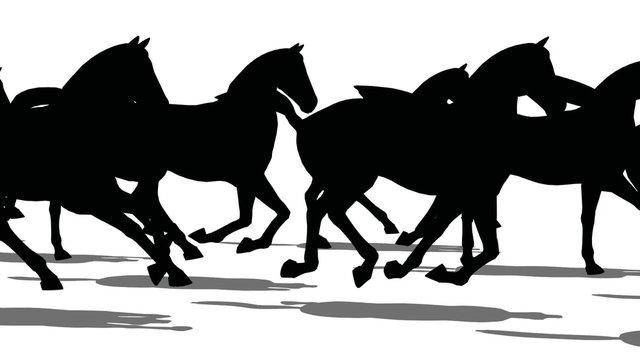 Silhouette of horses moving fast side view, loopable