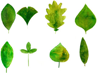 Set of green watercolor leaves