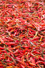 Fototapeta premium Dried Hot Pepper background