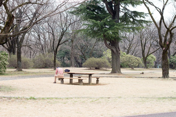 Japanese man resting on a bench in a park