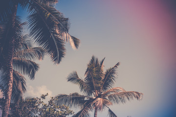 Fototapeta na wymiar High palms on a tropical beach at Mahe island Seychelles