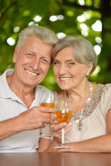 Cheerful elderly couple