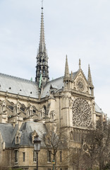 Notre Dame de Paris Cathedral