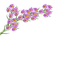 Obraz na płótnie Canvas Dahlia flower isolated on white background