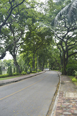 Fototapeta premium Winding Road through a City Park