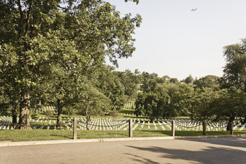 Rows of Graves at Arlington National Cemetery, Virginia