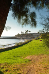 plage de tenerife