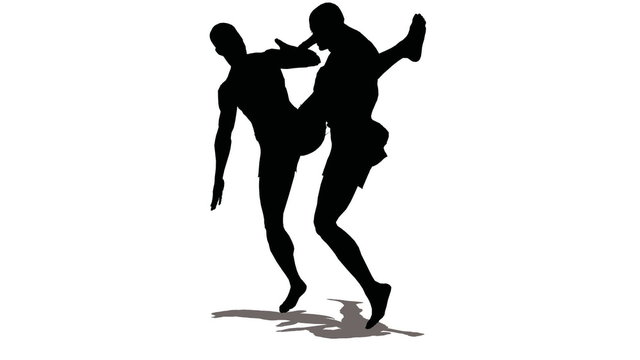 Two silhouettes of karatists rotate isolated loopable