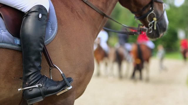 Horseman leg in boot at stirrup on chestnut horse, closeup