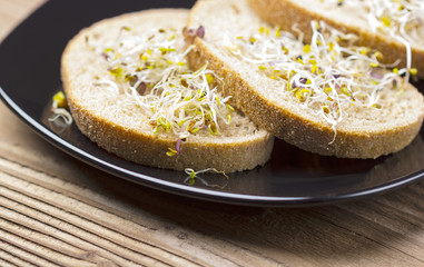 Mixed sprouts and bread on black plate