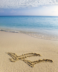 a picture on sand two flying seagulls