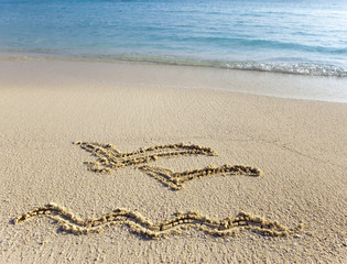 a picture on sand two flying seagulls