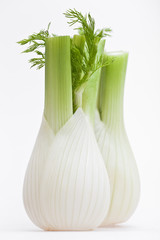 Fennel