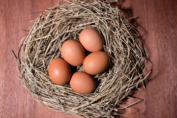 eggs on hay closeup