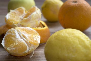 citrus of Calabria