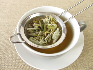 Griechischer Bergtee im Teesieb