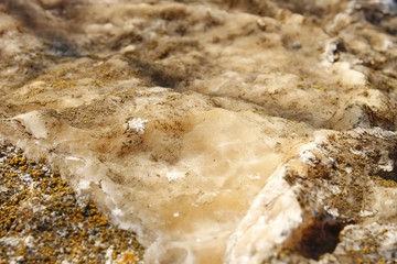 Wild stone (III)