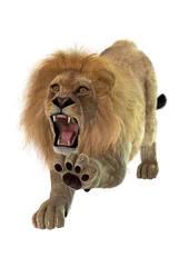 Türaufkleber Löwe Lion